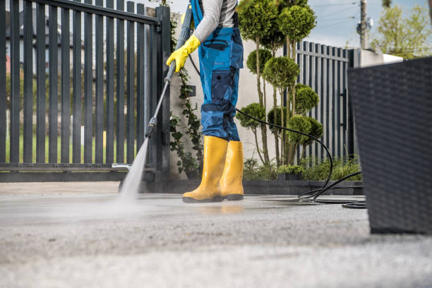 Best Dumpster Area Cleaning  in Langley, SC